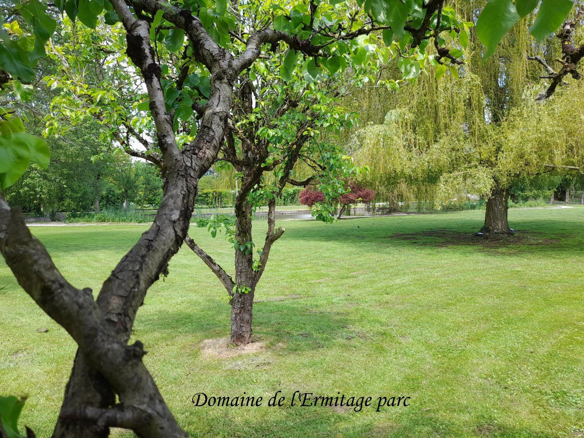 فيلا Domaine De L'Ermitage رو المظهر الخارجي الصورة